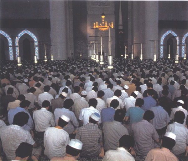 pic1